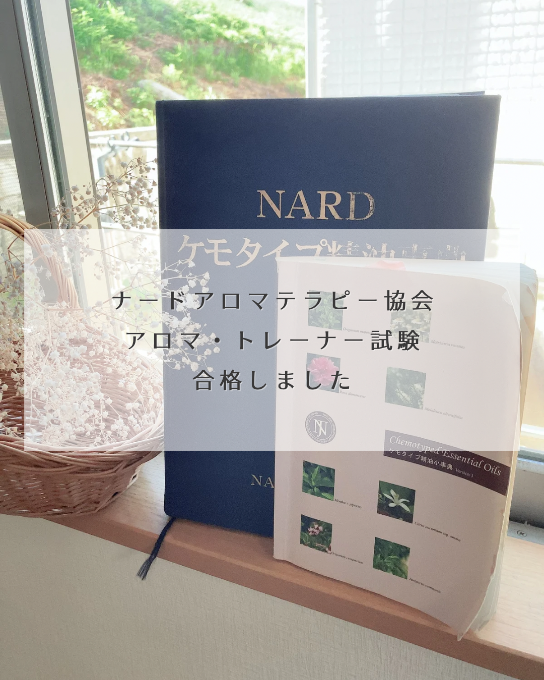 大幅値下/メール便OK/日本製 hazime様用 NARDケモタイプ精油辞典